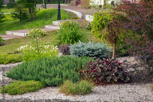 A fragment of a public park with a gravel garden. Perennial plants in landscape design.