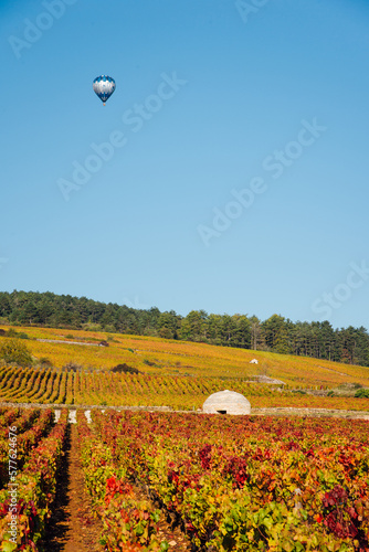 Tourisme en montgolfière en Bourgogne. Visiter le vignoble automnal en ballon gonflable. Vignoble automnal en Côte d'Or. Cabote dans les vignes orange. Paysage vignoble automnal © david