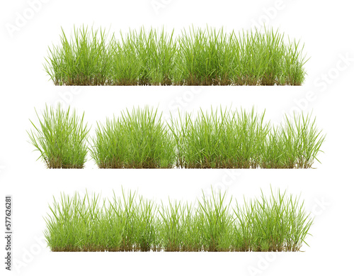 Set of grass plant on transparent background, 3d render illustration.