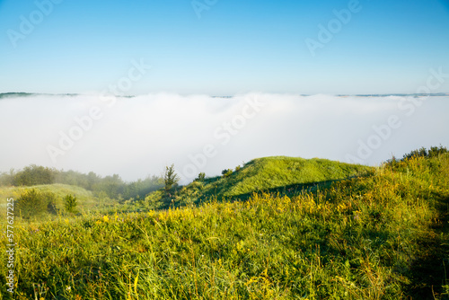 Fantastic view of the fresh green pasture in the morning mist. Ukraine, Europe.