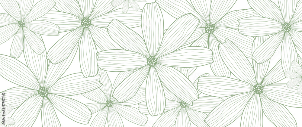 Vector green floral background with delicate daisies for decor, covers, backgrounds, wallpapers