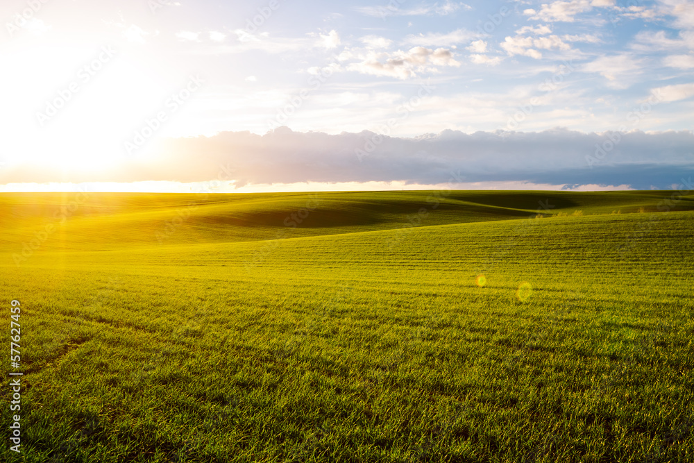 Perfect view of farmland and green wavy fields. Ukrainian agrarian region, Europe.