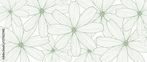 Vector green floral background with delicate daisies for decor, covers, backgrounds, wallpapers