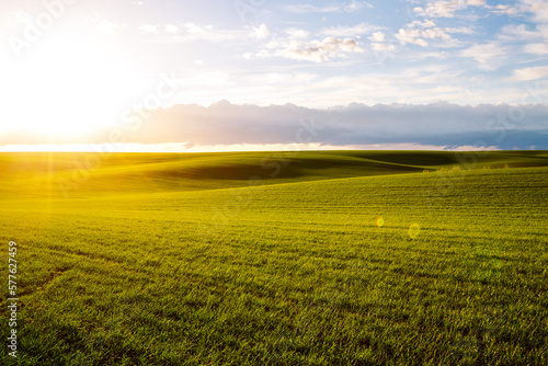 Perfect view of farmland and green wavy fields. Ukrainian agrarian region  Europe.