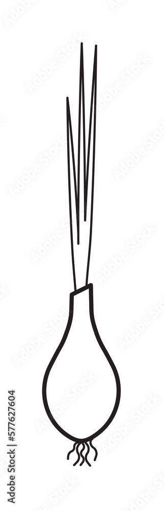 Green spring onion icon illustration design art Green spring onion icon illustration design art