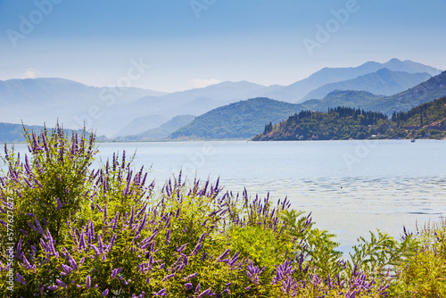 Breathtaking summer scene of the Skadar Lake National Park, Montenegro, Europe.