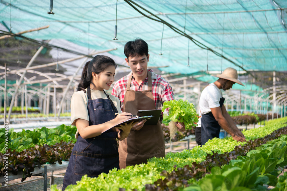 Asian farmer using hand holding tablet and organic vegetables hydroponic in greenhouse plantation. Female hydroponic salad vegetable garden owner working. Asian farmer using hand holding tablet and organic vegetables hydroponic in greenhouse plantation. Female hydroponic salad vegetable garden owner working.
