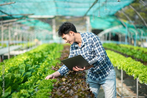 Asian young harvesting in organic farm with digital tablet..