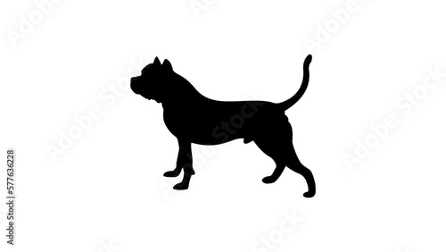 American Bully silhouette