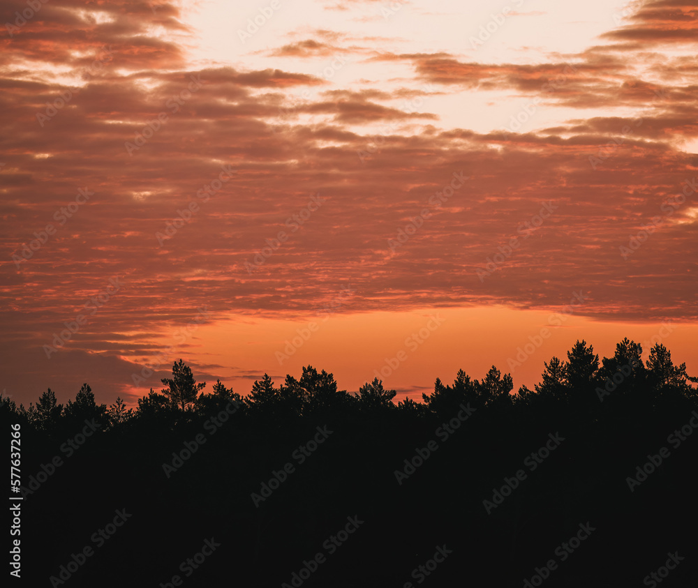 Sunset sky with vivid orange gradients and clouds over the rural area of pine trees and houses. Evening in the cozy village