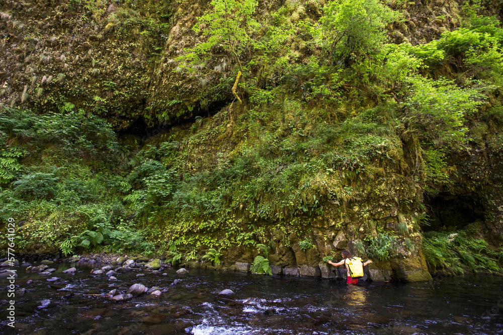 Columbia River Gorge, Oregon, USA. A man with a backpack walks along the rock wall of a creek in a mossy gorge. Columbia River Gorge, Oregon, USA. A man with a backpack walks along the rock wall of a creek in a mossy gorge.