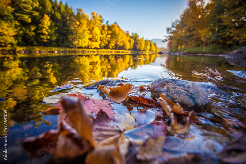Autumn color in the Adirondacks. photo