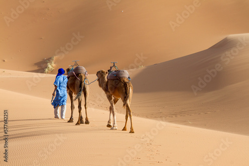 Tuareg man with the typical blue dress (djellaba) leads his camels in the sahara desert. Merzouga, Morocco