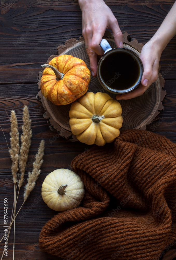 Hands with a cup of coffee with pumpkins on the wooden table Hands with a cup of coffee with pumpkins on the wooden table