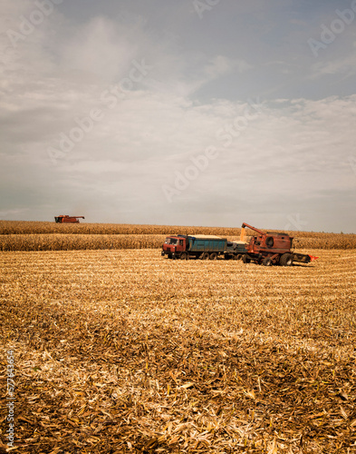 Fall wheat harvest photo