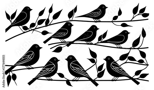 birds on a branch illustration
