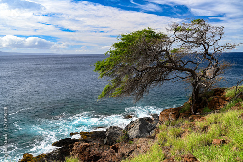 coast of the sea