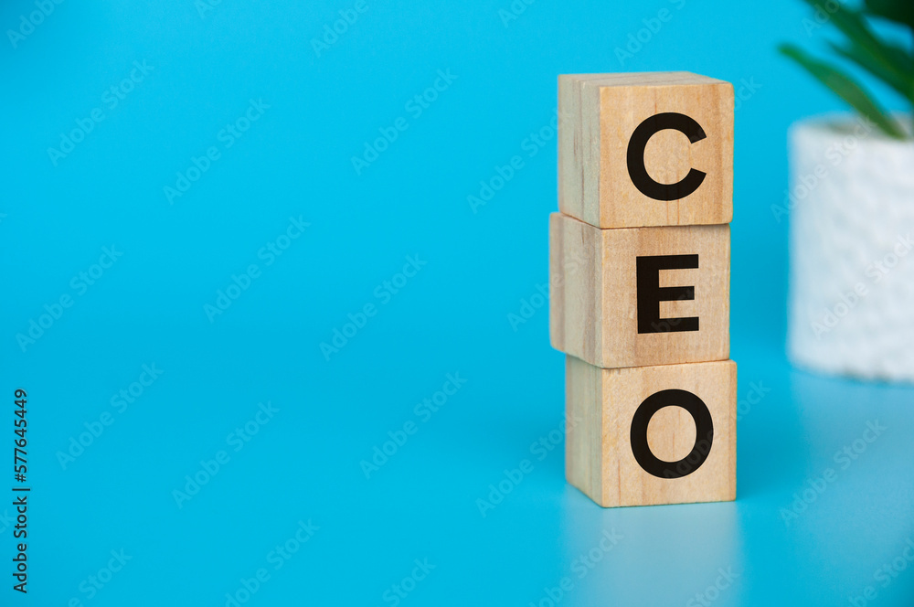 CEO text on wooden blocks with customizable space for text or ideas. Copy space concept. CEO text on wooden blocks with customizable space for text or ideas. Copy space concept.