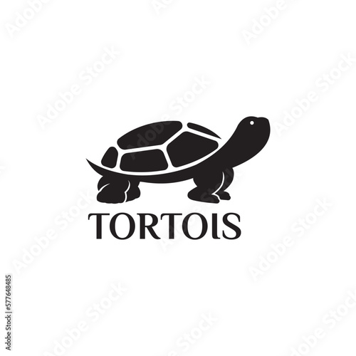 tortoise logo design