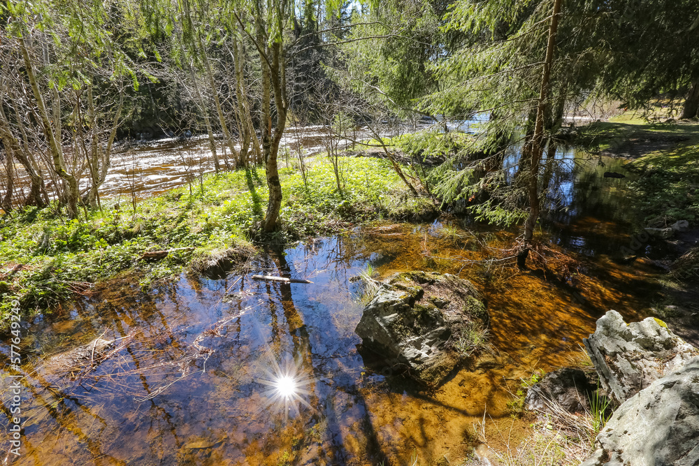 Spring flood at the river Homla Spring flood at the river Homla