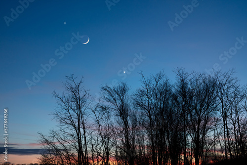 Planets in conjunction with young Moon above tree countryside silhouettes.