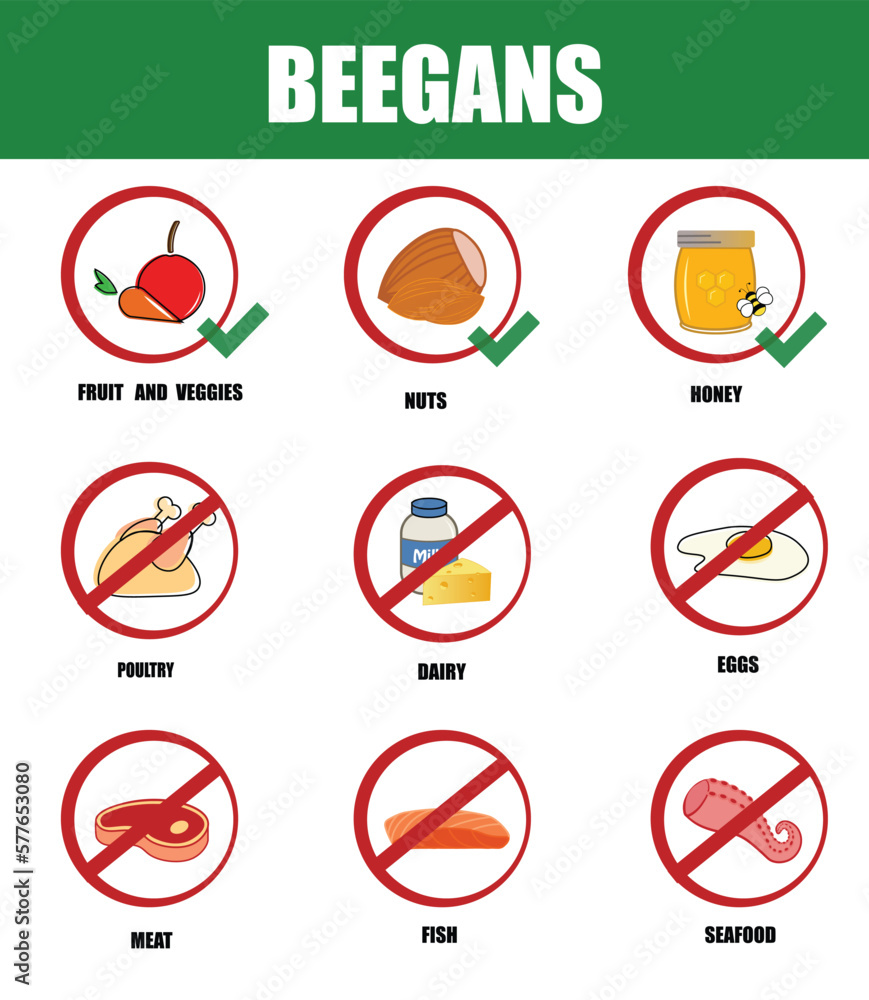 Beegans. Types of diets and nutrition plans from weight loss collection outline set. Eating model for wellness and health care vector illustration
