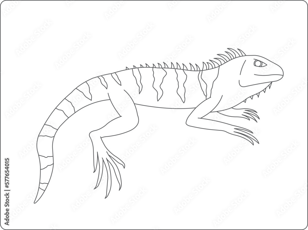 Iguana vector illustration, reptile drawn illustration, cartoon reptile coloring book Iguana vector illustration, reptile drawn illustration, cartoon reptile coloring book