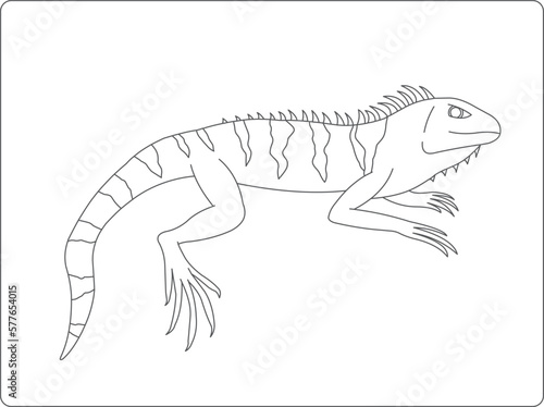 Iguana vector illustration, reptile drawn illustration, cartoon reptile coloring book