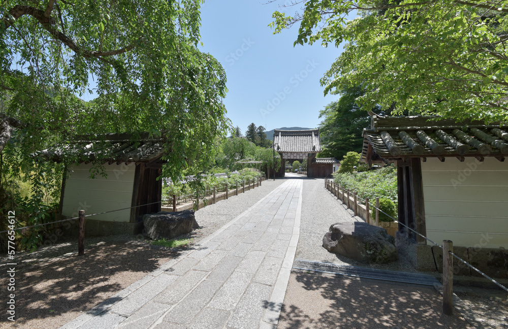 長谷寺 本坊への参道 奈良県桜井市初瀬 長谷寺 本坊への参道 奈良県桜井市初瀬