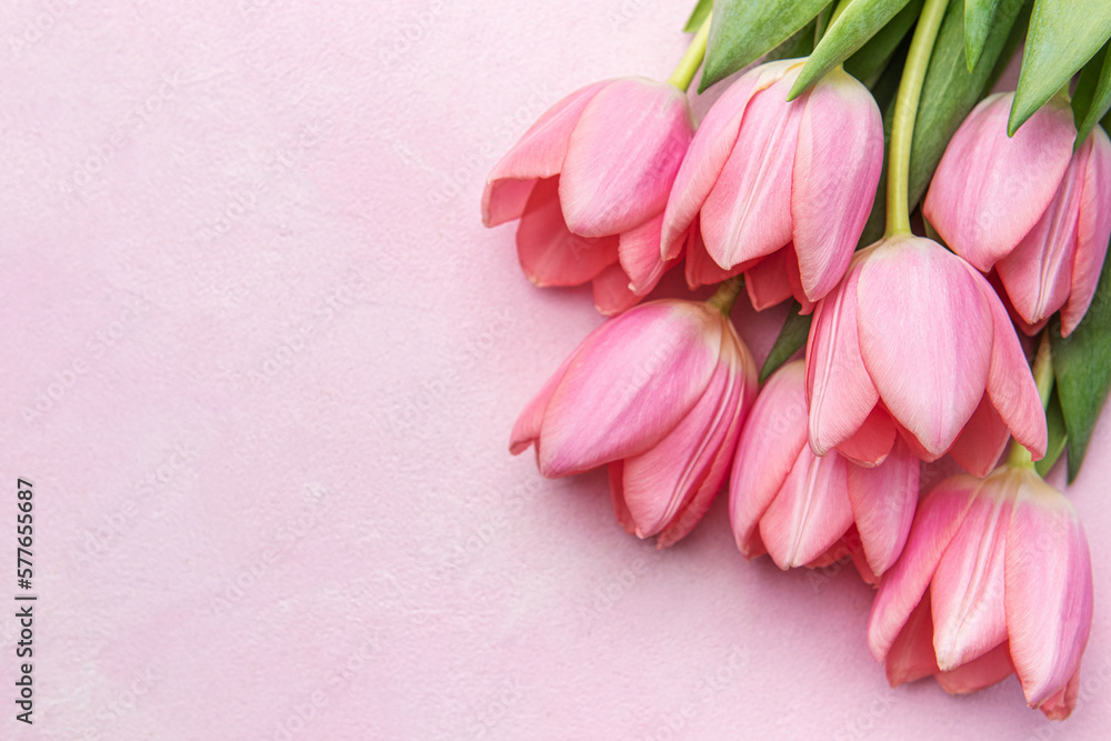Bouquet of pink tulips on pink background. Bouquet of pink tulips on pink background.