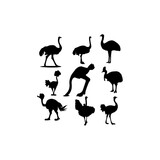collection set bird ostrich design