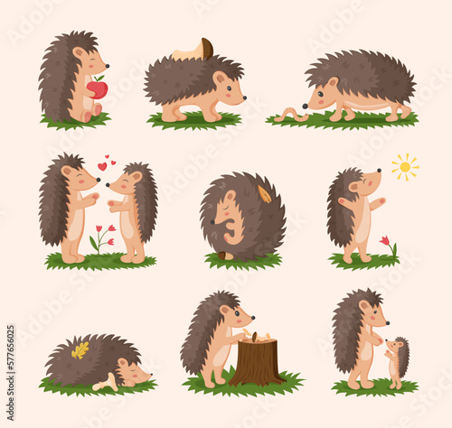 Hedgehog playing, sleep and walking, love animals. Couple of nature characters, wild kid and family, happy autumn forest mammals. Vector design utter cartoon flat style isolated illustration