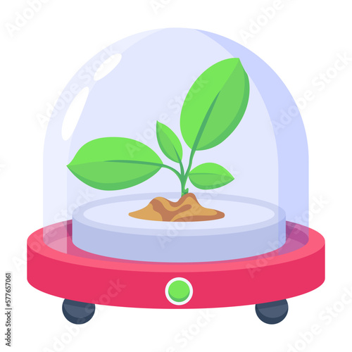 Incubator 