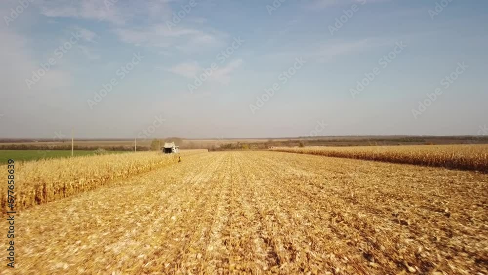 Corn Harvest 2022 in Ukraine Corn Harvest 2022 in Ukraine