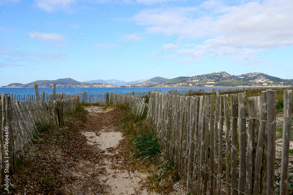 Fototapeta premium promenade sur le sentier