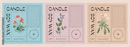 Abstract botanical vector cosmetics printable label design template for branding, packaging design