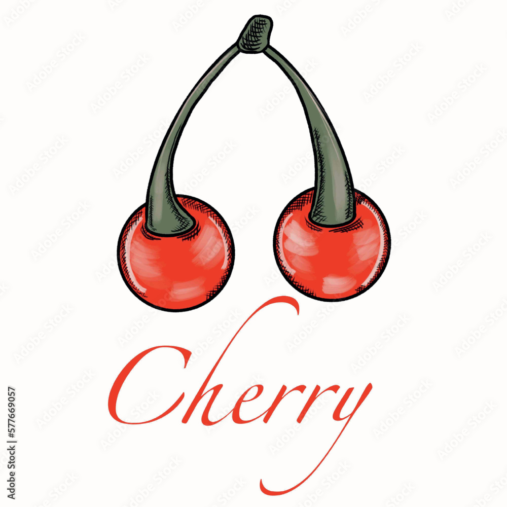 red cherry on a white cherry on a twig,red berry,flower,cherry blossom flower,cherry symbol love,friendship,fertility,longevity,fruit red cherry on a white cherry on a twig,red berry,flower,cherry blossom flower,cherry symbol love,friendship,fertility,longevity,fruit