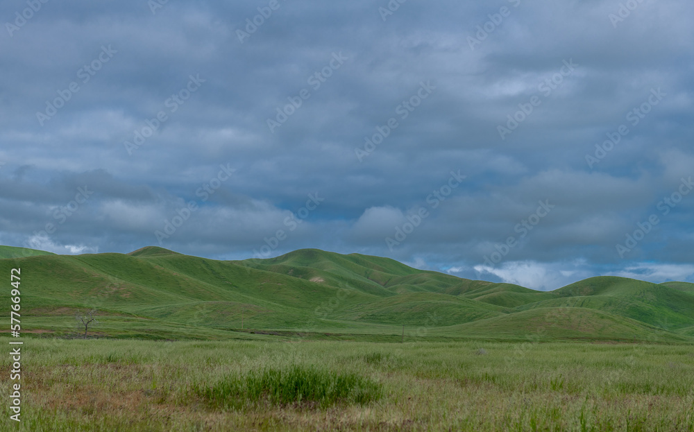 Upper Cottonwood Creek Wildlife Area. Beautiful Nature and Landscape. Green area with Cloudy Sky.