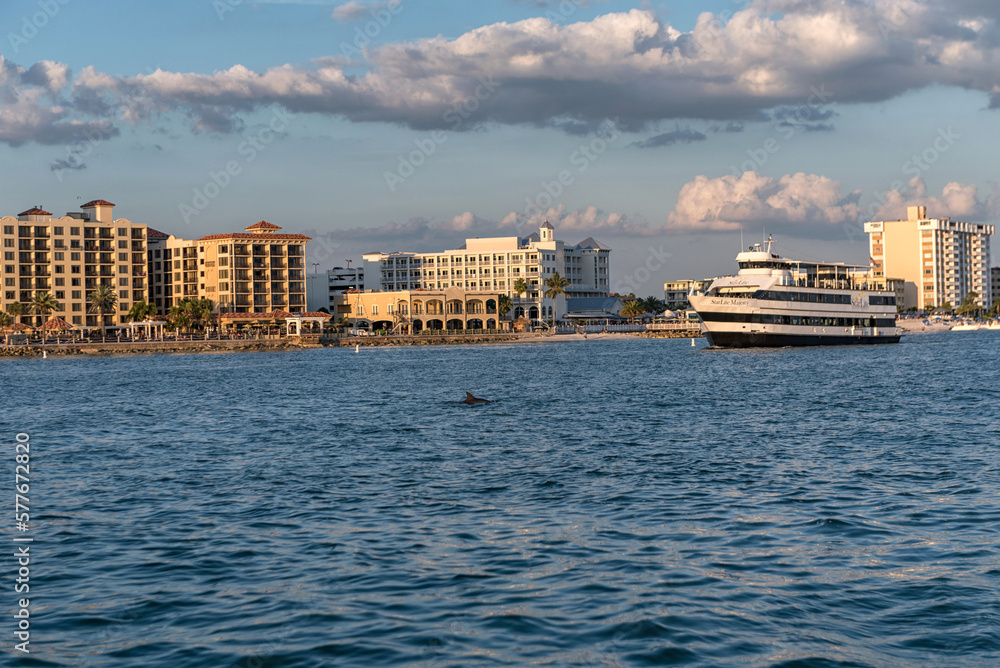 Dolphin and Ferry in Clearwater. Sunset time. Florida, USA Dolphin and Ferry in Clearwater. Sunset time. Florida, USA