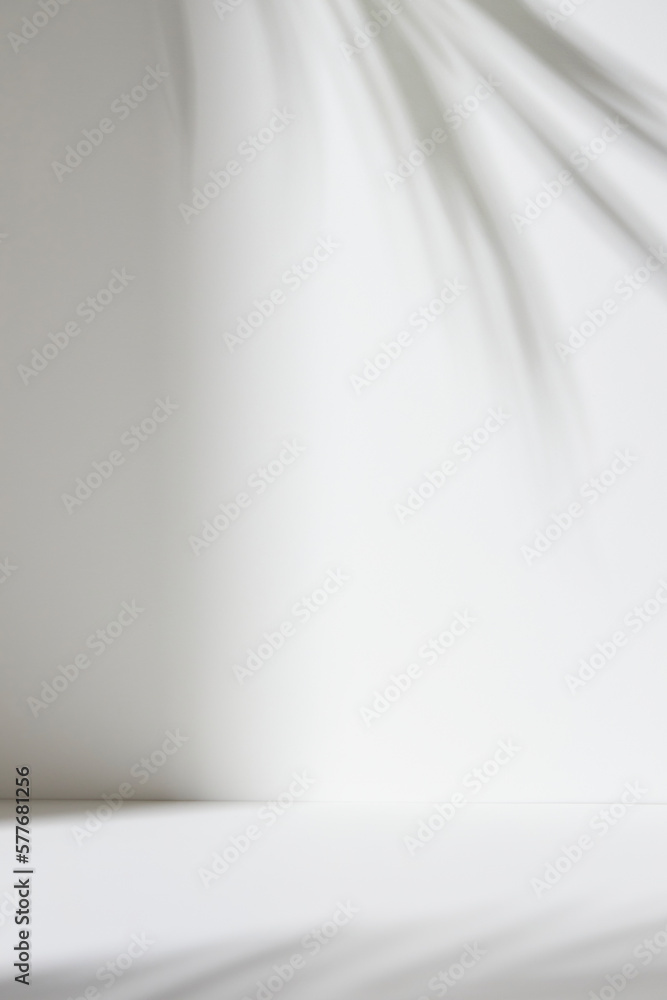 Monotone background wall with palm tree leaf shadows Monotone background wall with palm tree leaf shadows