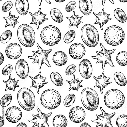 Blood cells seamless pattern. Hand drawn erythrocytes, leukocytes and platelet. Scientific biology illustration in sketch style