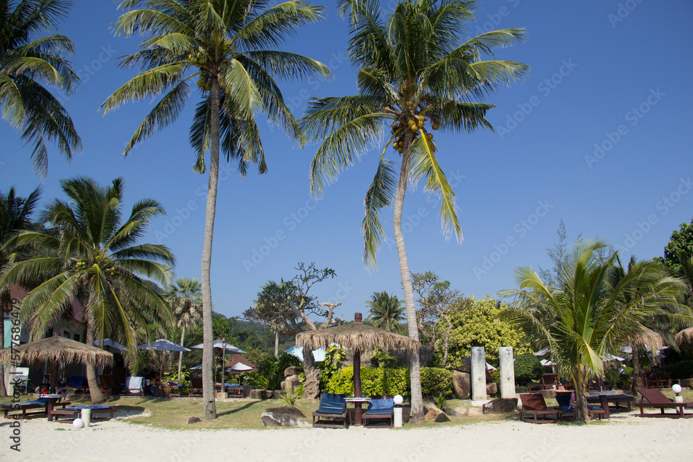 Beautiful view of the beach of Thailand on a sunny day Beautiful view of the beach of Thailand on a sunny day