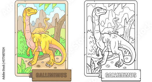 Fototapeta Naklejka Na Ścianę i Meble -  prehistoric dinosaur gallimimus, design illustration