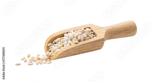 Canvas Print grain barley in wood scoop on transparent png