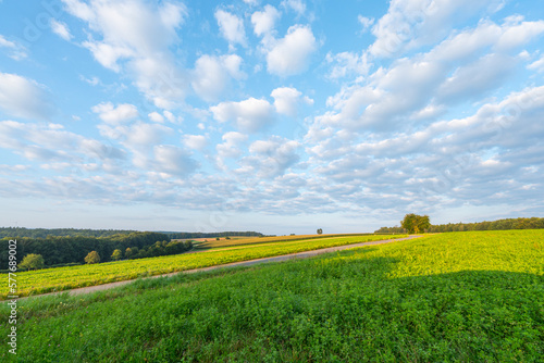 Sommerlandschaft im Odenwald