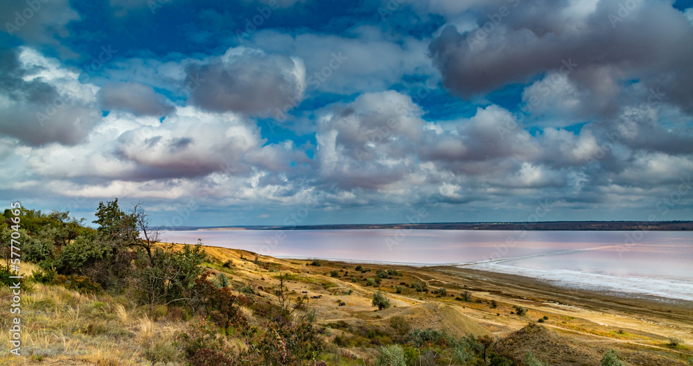 Natural landscape of the south of Ukraine, View of the drying Kuyalnitsky estuary with rose water, in which Artemia salina and Dunaliella algae live Natural landscape of the south of Ukraine, View of the drying Kuyalnitsky estuary with rose water, in which Artemia salina and Dunaliella algae live