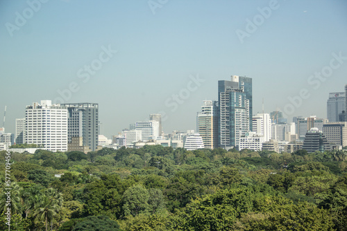 Beautiful view of the panorama of Bangkok, Thailand © marinadatsenko