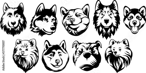 Heads of dogs. Abstract character illustration. Graphic logo design templates for emblem.