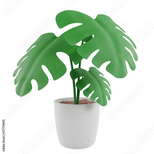 Monstera in a pot.Tropical plant for interior decor of home or office.3d icon cartoon style.rendering illustration