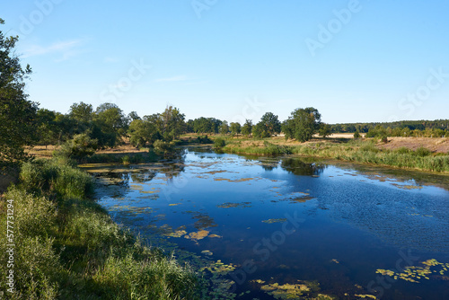 Alte Elbe bei Plötzky